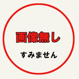 画像: ＲＧ250/400ガンマ　ウォルターウルフ　外装一式ペイント料金