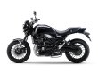 Z900RS専用になります。ライン違いでもZ900RS全般にこの色だと思います